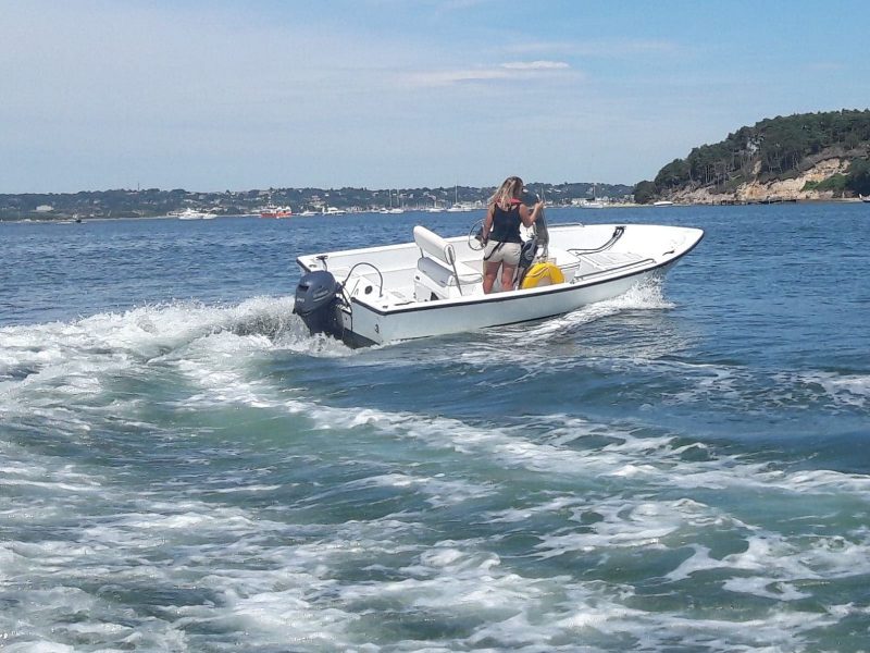 Lovin' the new Yamaha 20hp engines